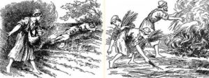 El trigo y la cizaña